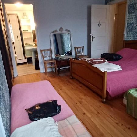 Chez Virginie - Chambre Du Bourg Lourdes Bagian luar foto